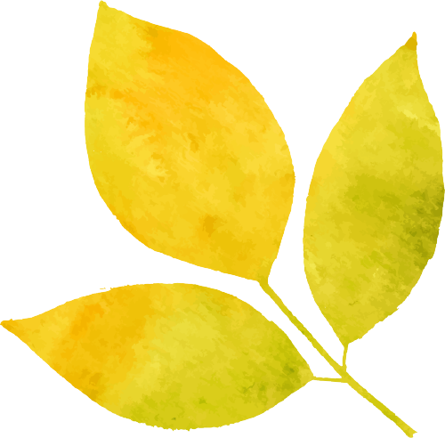 风渐凉，来福建寻一片温柔的秋