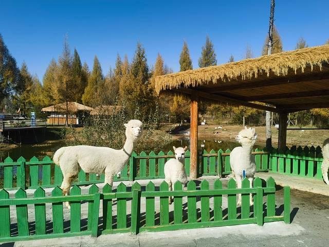 走进延边：长白山天池、延吉、图们、珲春行记