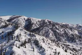 万人说新疆|极速飞驰的古老毛皮滑雪板图片