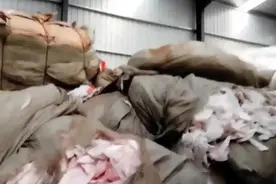 翻新卫生巾被曝光，苏菲、全棉时代、护舒宝等发声明否认，自由点称已报案图片