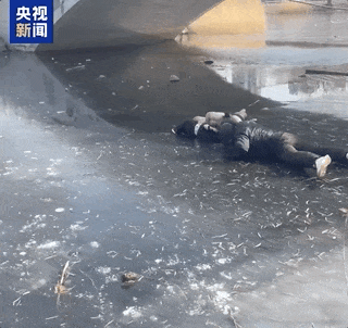 “你下去行吗？	” “行不行我也得下去！”