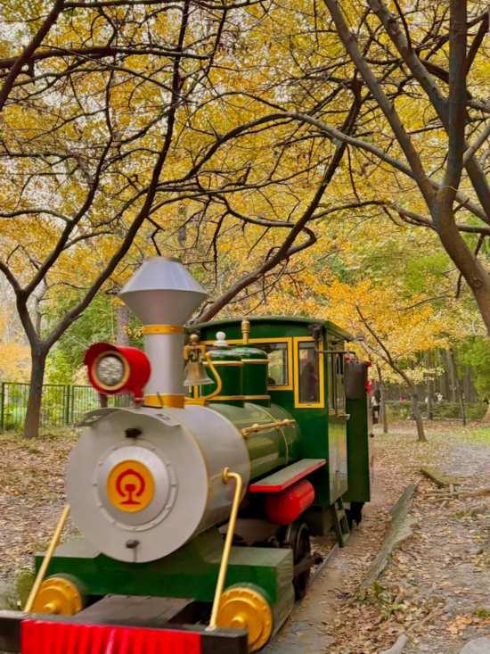 漫步这座“莫奈花园”，邂逅申城油画里的秋天