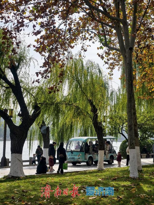 一年四季 泉在济南丨赴一场冬日湖畔之约，且看诗意的泉城济南