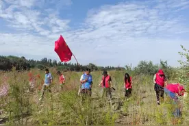泽普县：关爱河道清捡垃圾 用心守护碧水蓝天图片