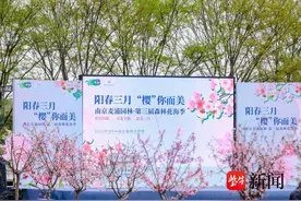 樱花、海棠如云似霞！南京森林大世界花海季邀您赏花打卡图片
