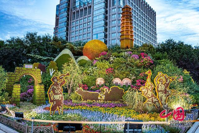 抗战胜利80周年主题花坛扮靓长安街 市民争相打卡红色记忆