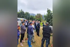 平和秀峰：多措并举扎实推进化肥减量工作提质增效图片