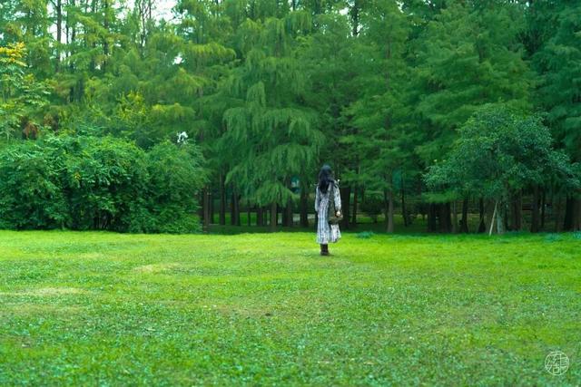 人少景美不绕路，东湖秋日彩蛋上新