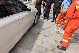 咦！请小心，它们的冬眠结束了！嘶～图片