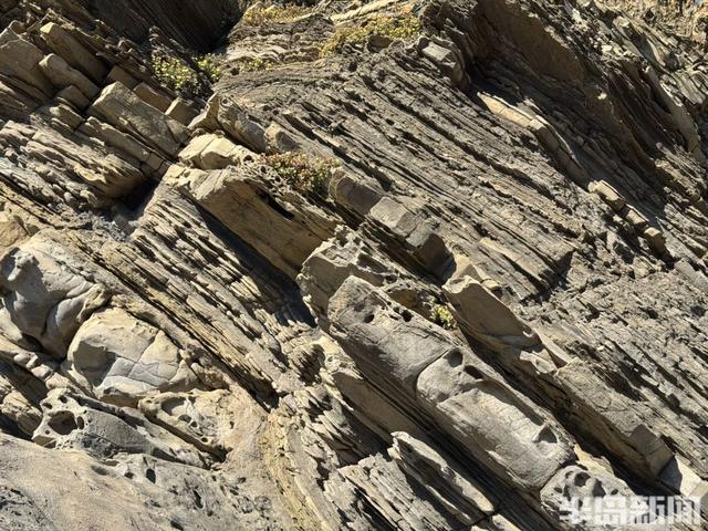 青岛宝藏海岛｜游客爆炸式增长，昔日偏远小岛变身旅游胜地