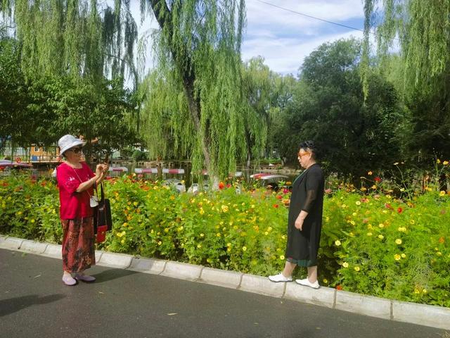 锦州动物园花海惊艳绽放
