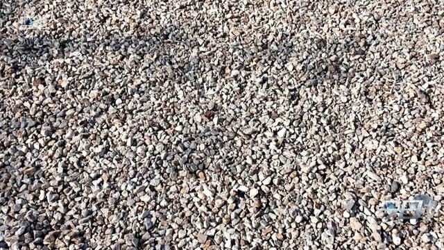 青岛这个公园你去过吗？藏着一个厉害之处……