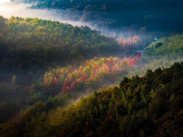 溧水秋天，有点好“骑”~
