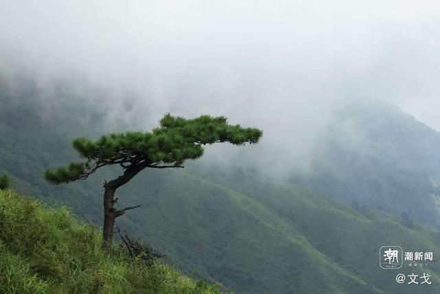 晚潮｜向云端