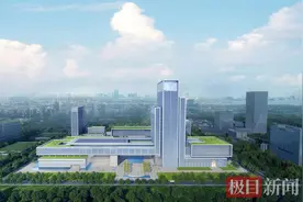 聚力建设，武汉新城项目加快培育新质生产力图片