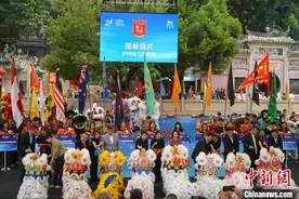 特写：群狮争雄“闹”濠江图片