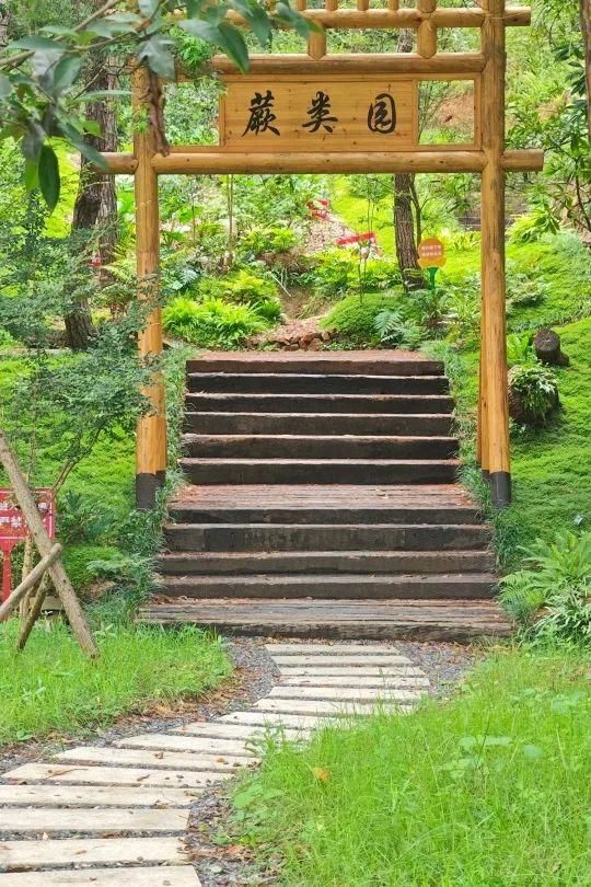 晴雨都能嗨！艺术盛宴、绝美日落、奇幻夜游，总有一款适合你→