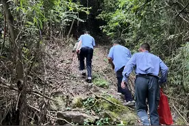 七旬老人深山走失！2小时成功搜救图片