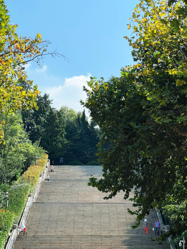 青岛：春日“拾”光 花漾市北 春日撒欢，解锁遛娃不重样的春天
