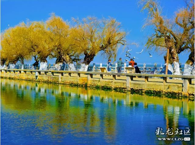 昆明小众人少看滇池喂海鸥的宝藏打卡地