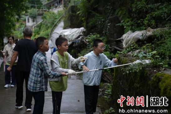 五峰后河保护区举办第二届青少年科考夏令营活动