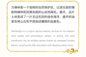 Go with Tatiana｜春天来了！让我们一起沉浸在金色油菜花海中 Spring is here! Let’s immerse ourselves in the golden sea of blooming rapeseed flowers图片