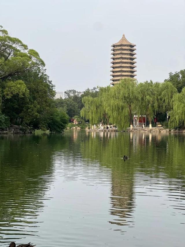 海淀新游记丨一程山水一程诗，从三山五园到星空教室，皆在步履间
