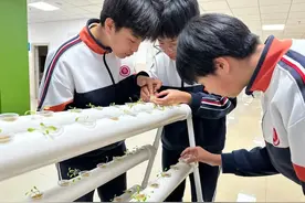 感知一叶一花！济南高新区海川中学学生走进东篱种植园图片