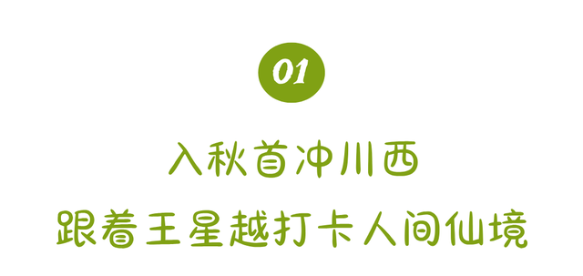 这个秋天，跟着王星越一起驶向川西！
