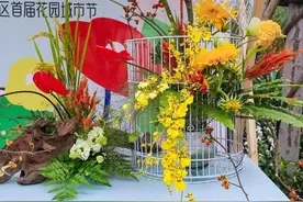 感受花满西城 北京西城区首届花园城市节开幕图片