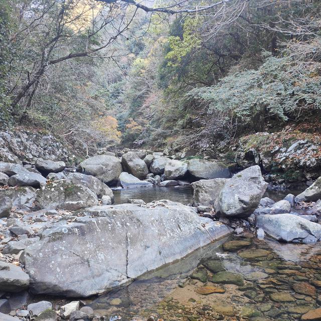 晚潮｜老家如梦：小佐坑峡谷的烟树秋色