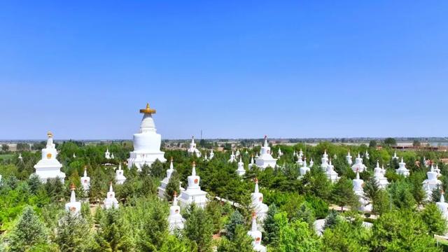 “东天山来的骆驼队”抵达武威啦！你最期待哪一站？