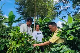 云南咖啡飘香链博盛会 星巴克与中国共享咖啡产业价值链图片