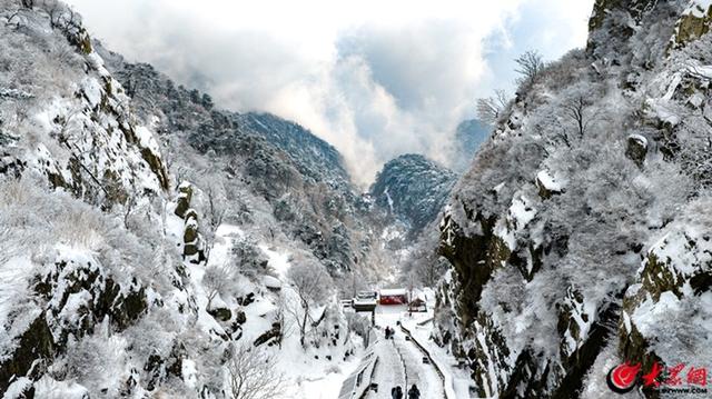 泰山冬日初雪 漫山银白如画