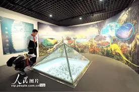 北京：迎接世界地球日 中国地质博物馆免费向公众开放图片