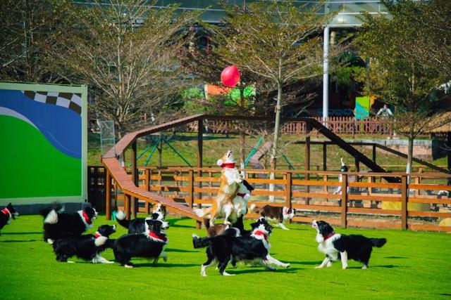 森林雪国今日开业！户外玩真雪就到高明！