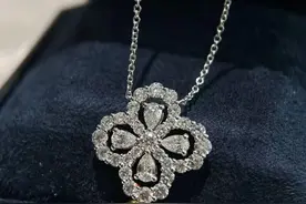 价值数万元钻石项链丢失，民警上演“寻宝记”图片