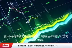 新东方新材料：预计2024年净利润同比减少80.46%到70.69%视频封面