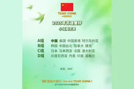 2025年苏迪曼杯中国队同组对手确定图片