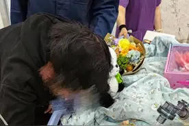 痛心！小九妹走了，年仅3岁图片