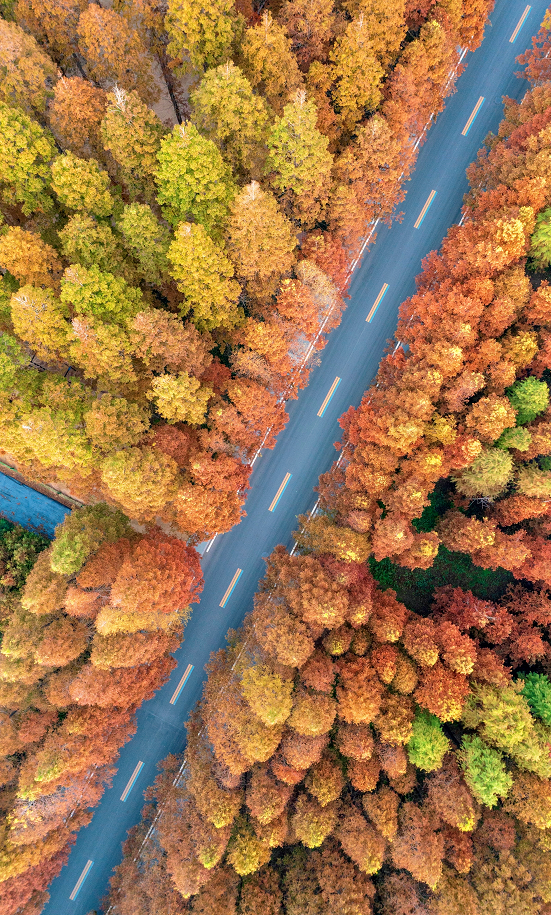 接下来的日照，是这样的！