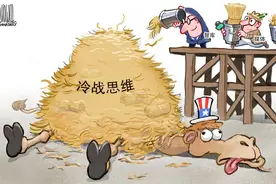 压死骆驼的最后一根稻草图片