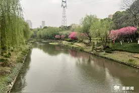 下河连救两人的黑衣大哥找到了：手机进水报废，手指也受了伤图片