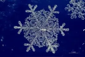 大雪至，寒冬始 浙江的初雪下到哪里了？图片