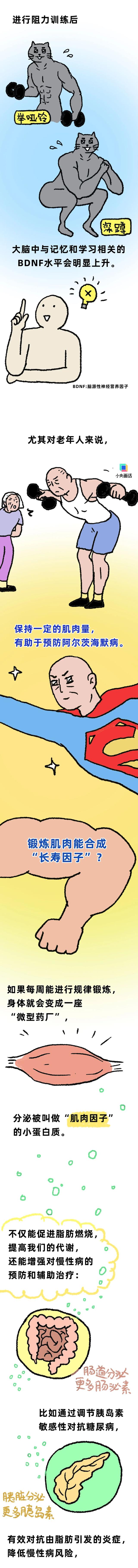什么？强壮的大腿约等于清醒的大脑？