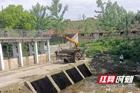 南县麻河口镇：开展河道清理整治 守护水清岸绿美景图片
