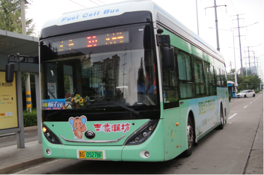 潍坊象“祥祥”全城巡游！1600辆公交车变身流动文化风景线