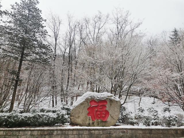 一夜雪花落崂山，琼楼玉宇翩若仙