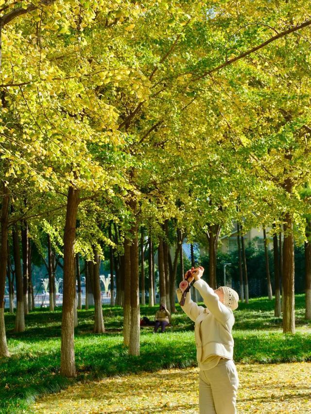 周末N次方|打开这份江汉赏秋图鉴→