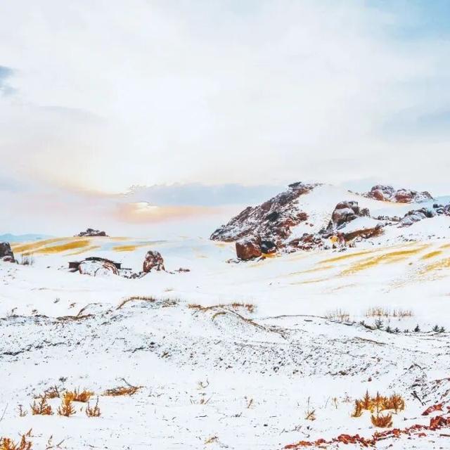 200元起飞！许多巴彦淖尔人都忍不住了......